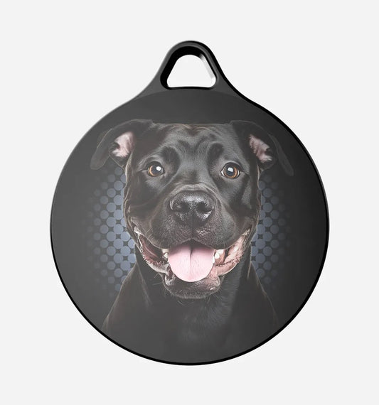 Black Pitbull