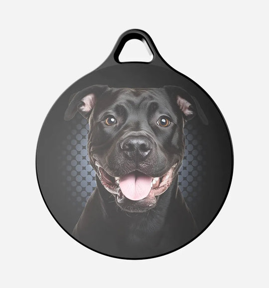 Black Pitbull