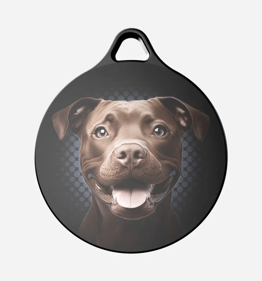 Chocolate Pitbull