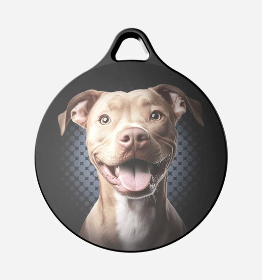 Fawn Pitbull