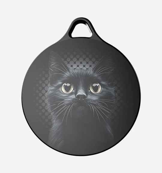 Black Cat